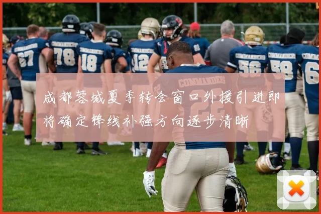 成都蓉城夏季转会窗口外援引进即将确定锋线补强方向逐步清晰